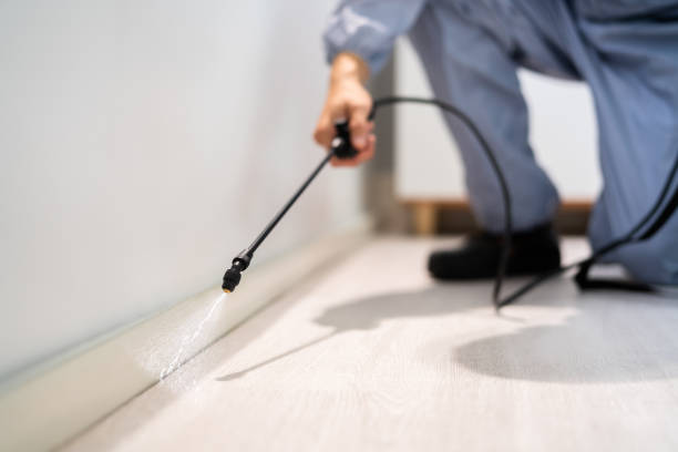 Certified termite inspector examining foundation in Wakeman