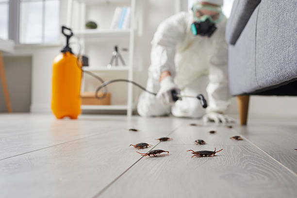 Commercial Kitchen Cockroach Control in Wakeman